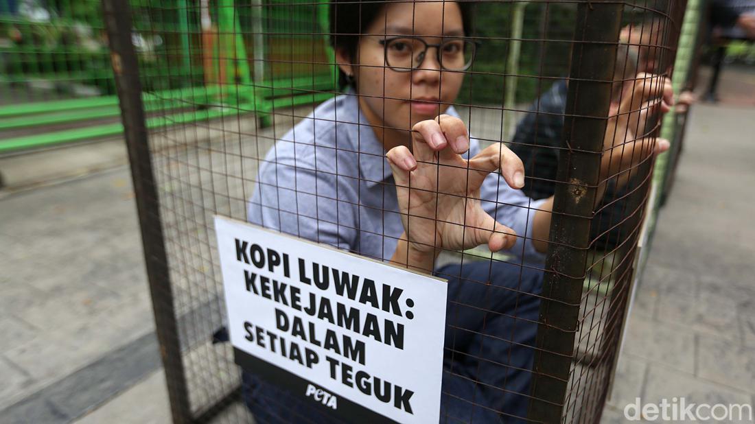 detikcom's tweet photo. #Foto Sejumlah aktivis PETA menggelar aksi menolak eksploitasi luwak. Mereka mengurung diri dengan kandang di depan Kementerian Lingkungan Hidup dan Kehutanan. Baca selengkapnya di sini: https://t.co/DGDV7fGLdL

Foto: Agung Pambudhy/detikcom https://t.co/HKybHkoR88