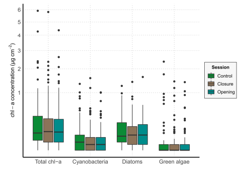 Everyone has its COVID paper! 
During the closing period due to pandemic #lampenflora in #showcaves did not decrease. Just published on #Geoheritage journal:
link.springer.com/content/pdf/10…