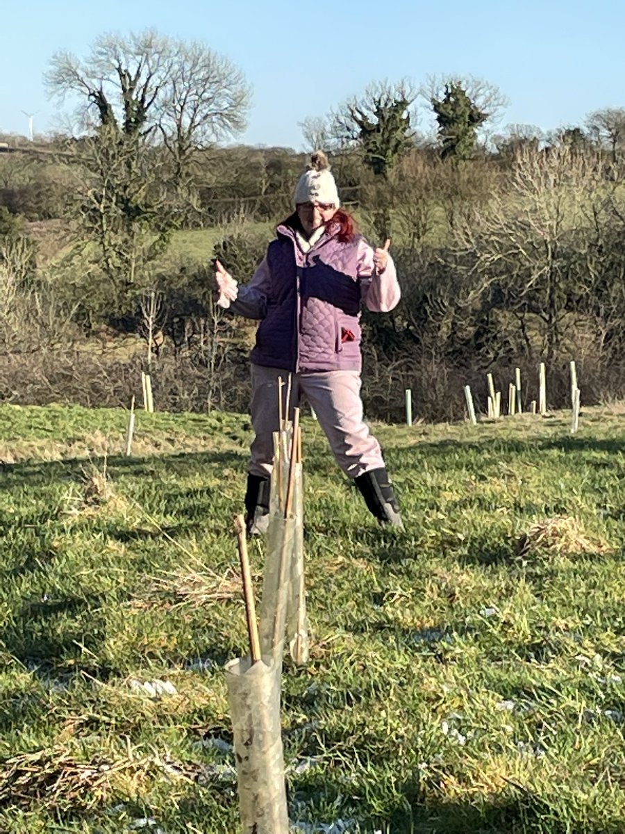 Frowenfields's tweet photo. Another 6 #trees to add to our #woodland walk at #frowenfields #eco  #glamping and #Camping2023 site in #wales these were donated by a family who enjoys watching us grow, so now 6 trees will grow with us as a #family business https://t.co/XqM8GOJxvm