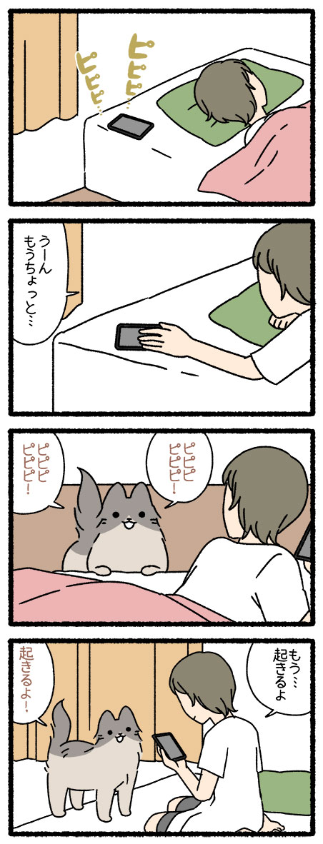 ねこようかい やまびこ #ねこようかい 