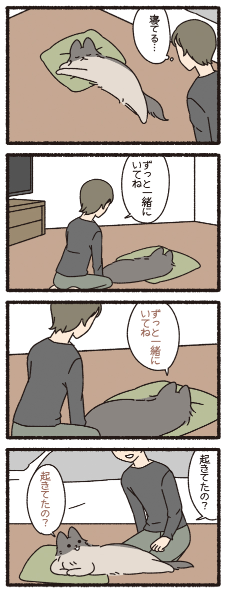 ねこようかい やまびこ #ねこようかい 