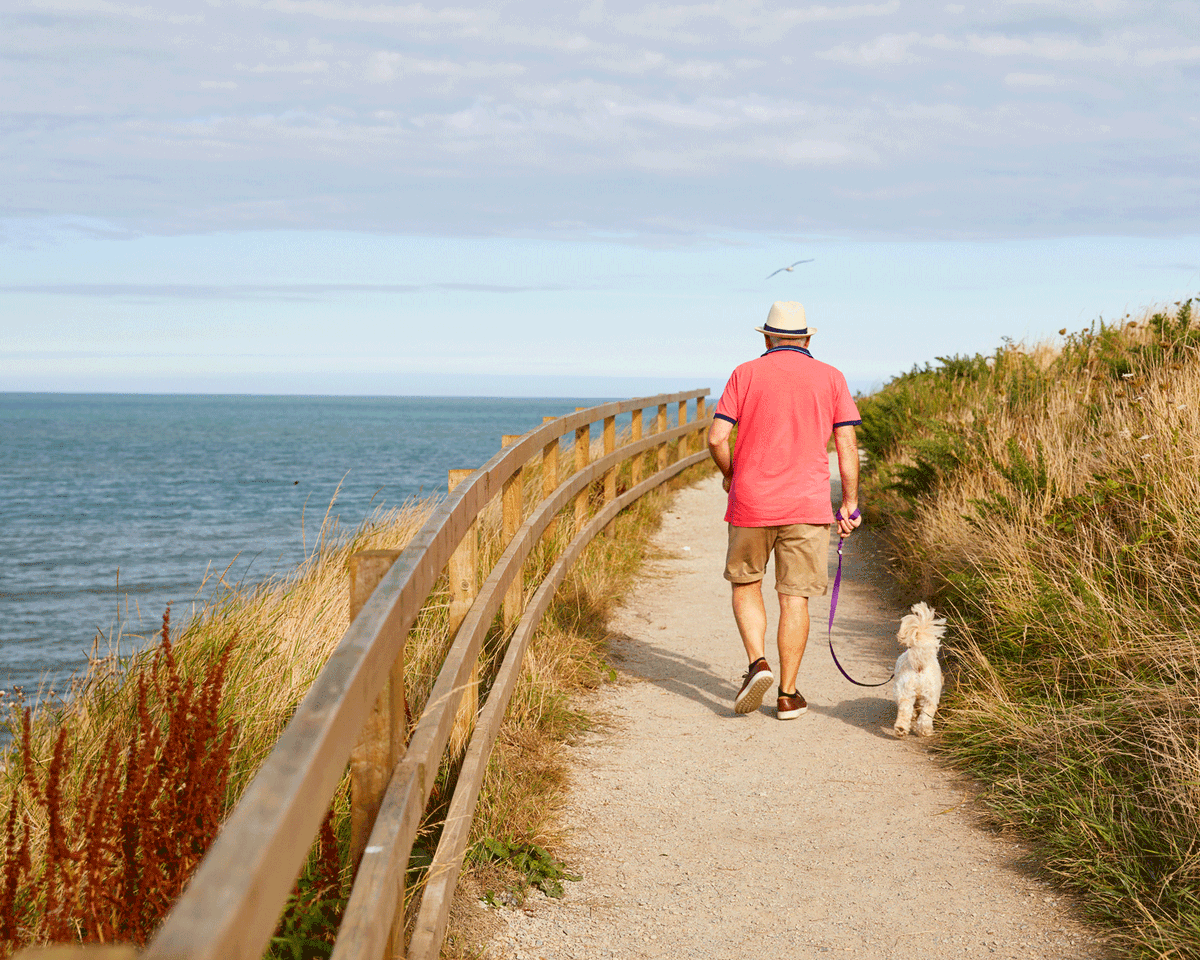LeaveNoTraceIrl's tweet photo. Did you know it’s estimated that there are 455,00 dogs in Ireland, and that 25% of Irish households own at least one dog? 

We all love our canine companions &amp; bringing them with us on our adventures!
Check out the free resources for our dogs and us below:
https://t.co/GGlQWEj8e5 https://t.co/2P05Joqcif