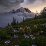 Photo by Ryan Dyar (@ryandyar)