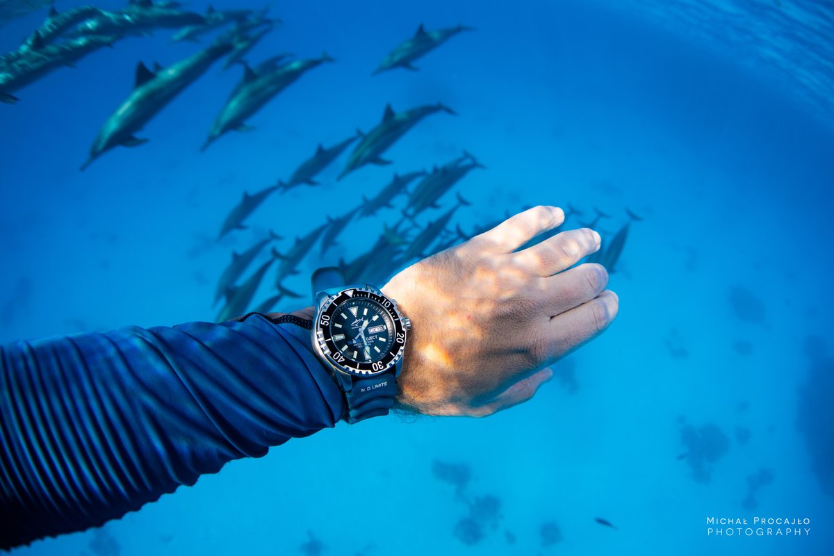 ChrisBenzWatch's tweet photo. Check out this amazing pictures of Michał Procajło from his last trip to the Red Sea 🐬🐬🐬
⌚️DEEP 1000M @sharkproject Edition
#chrisbenz #chrisbenzwatches #divewatch #chrisbenzoceanteam #underwaterpassion #scubadiving #dolphins #sharkproject #redsea https://t.co/xBIAp39RJ2
