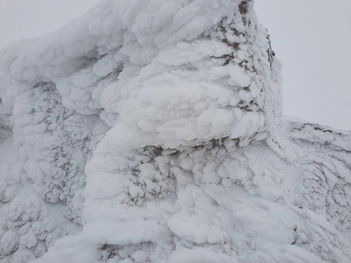 Daniel Garau Conde tweet media