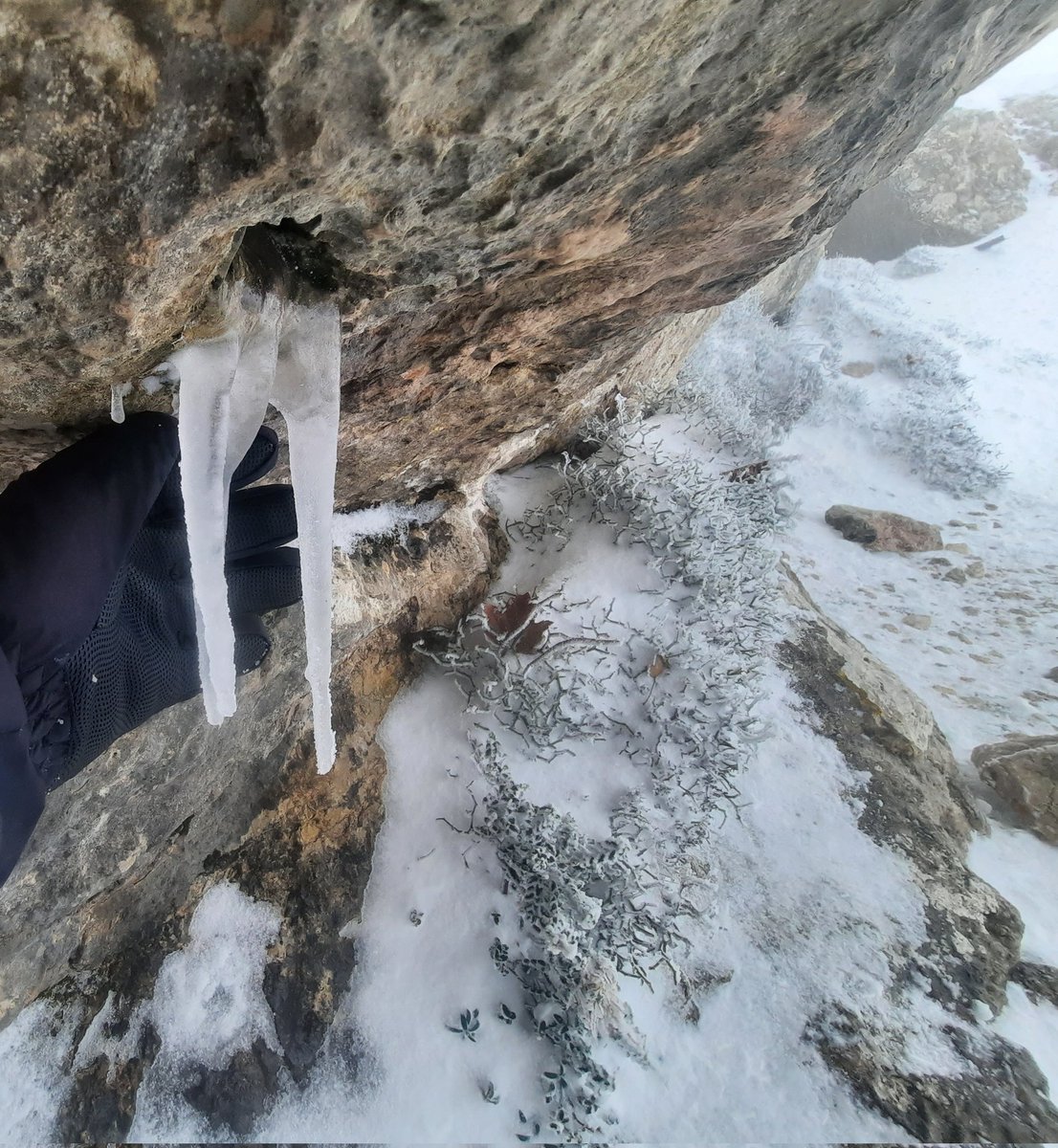 Daniel Garau Conde tweet media