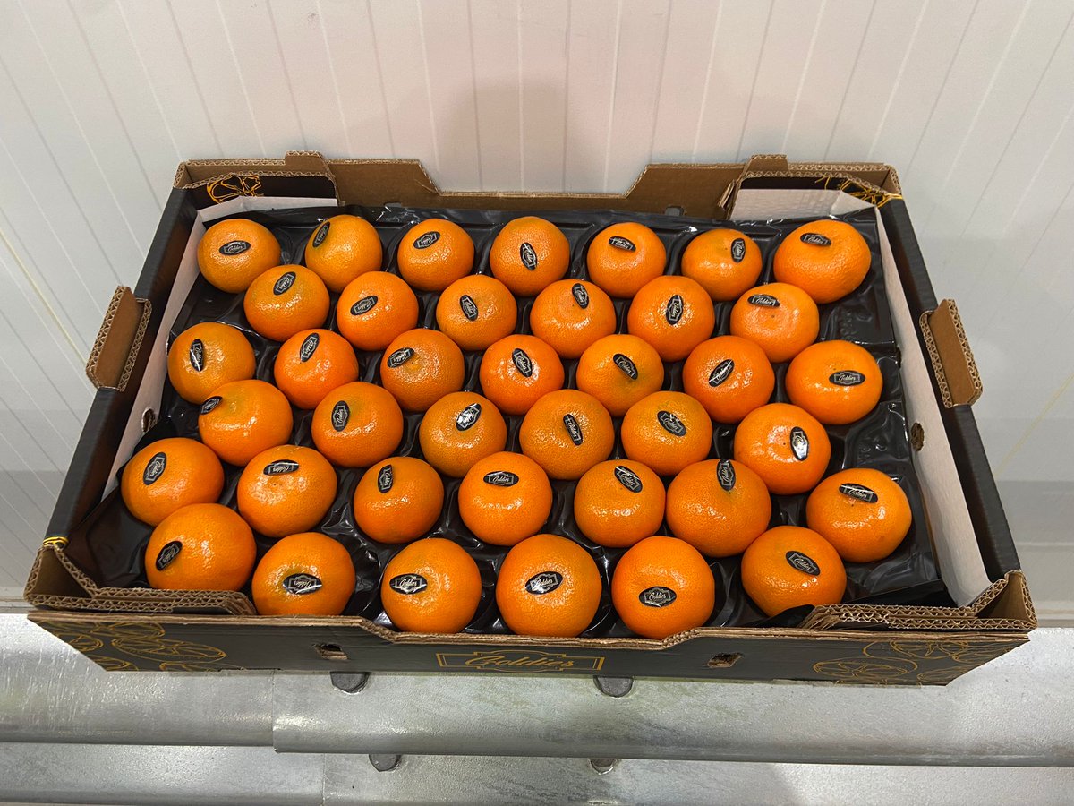 Moroccan Goldies &amp; Miss Valentine Nadorcotts in 10kg x 60/64/78/90

Contact now to get yours! 

📞01322 425555
📧marketsales@westfaliafruit.com