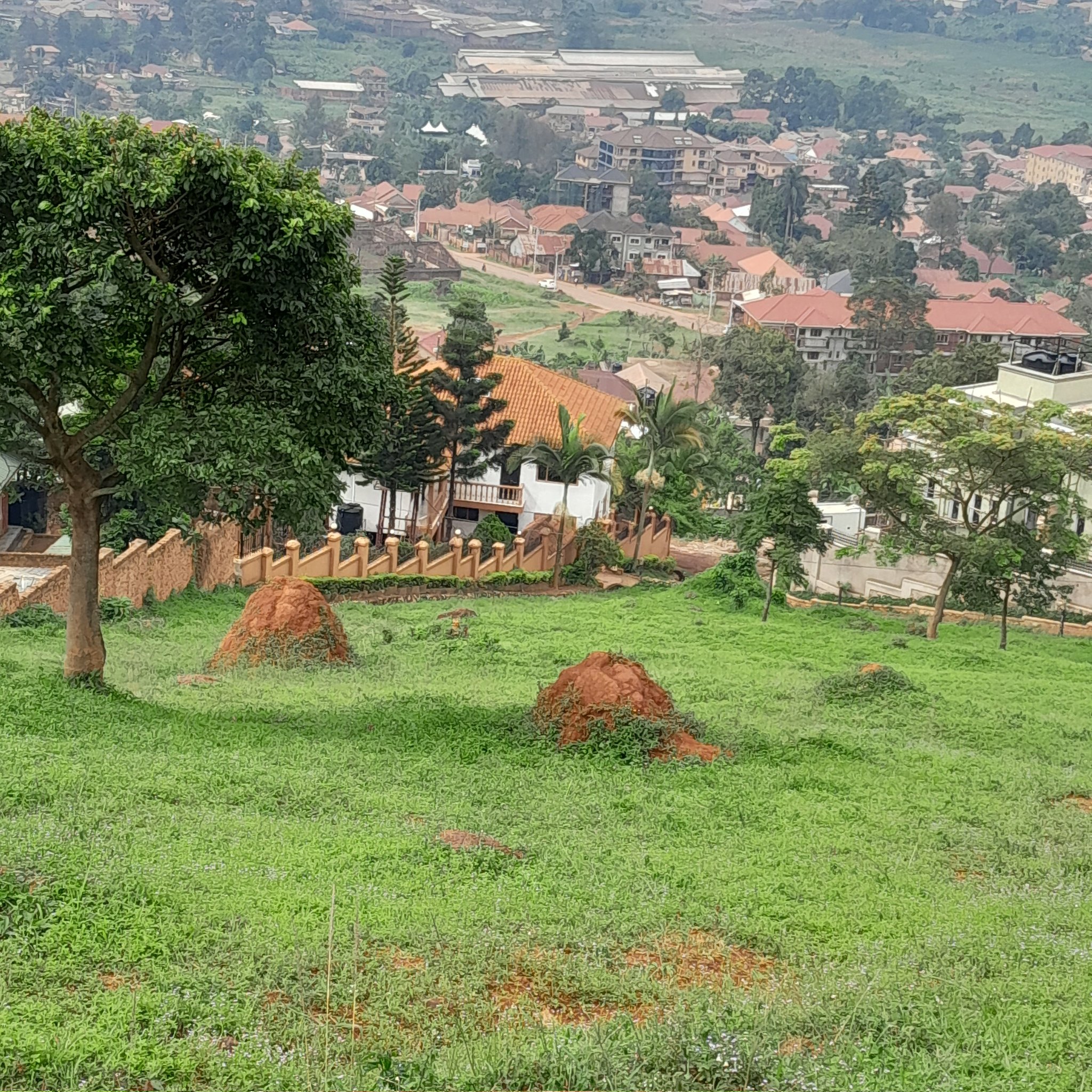 Barack on Twitter "KagutaMuseveni Private milo land located at seguku EBB road along nebalamye