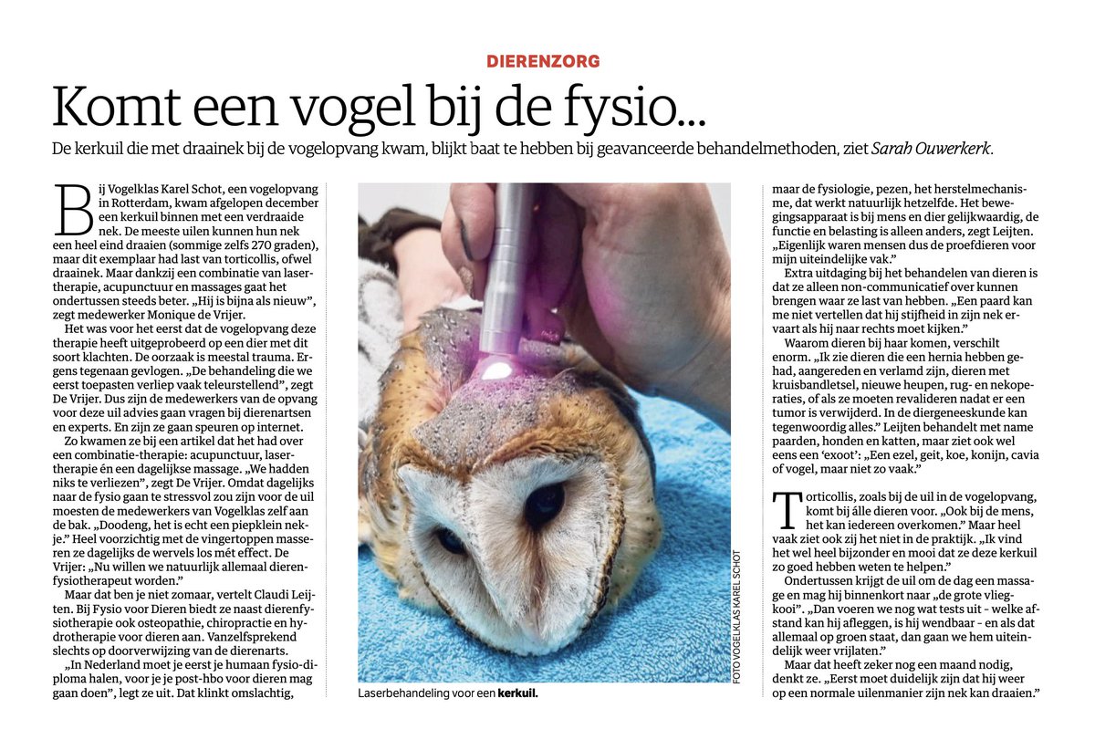 RuudvdVelden010's tweet photo. Rotterdam mag trots zijn op de @vogelklas die zo liefdevol voor onze gevleugelde inwoners van de stad zorgt.
Nu weer een bijzonder verhaal over een kerkuil met een draainek. #dierenzorg
@nrc https://t.co/wm06FF5VHQ