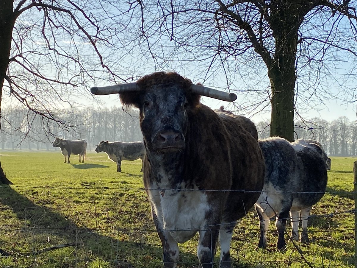stuccatora's tweet photo. New colleagues, new buildings. May the thrill of arriving on mornings like this never wear off.
@NThardwick https://t.co/DsFU6bURrc