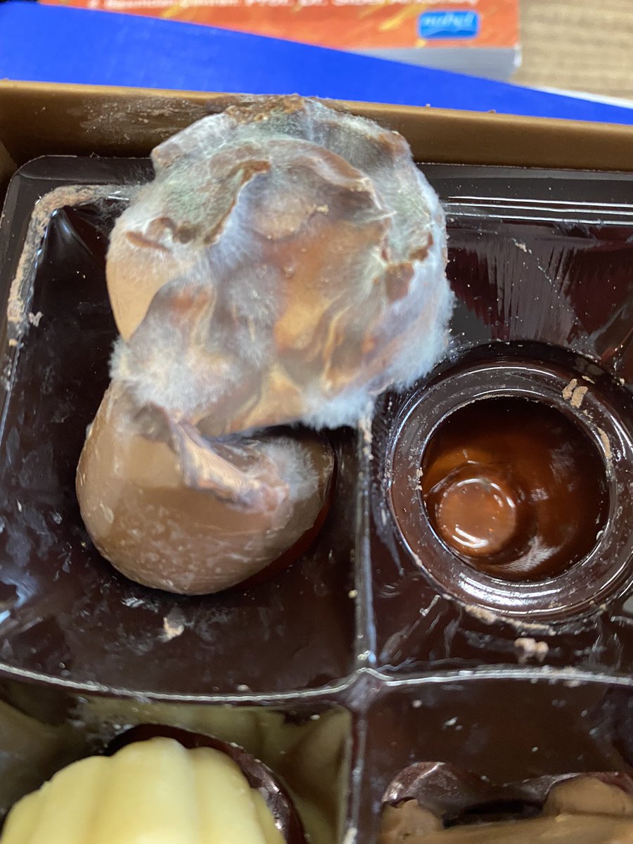 Deniz Ülke Kaynak tweet media