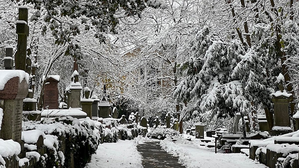 Exciting times ahead! Highgate Cemetery is seeking four new Trustees who can support us in key areas as oversight of large projects, fundraising, or finance. 
Deadline: 9 March 2023. Info session this Sunday, 29 Jan, 11 am. 
See: highgatecemetery.org/about/trustee
#Trustee #CharityTrustee