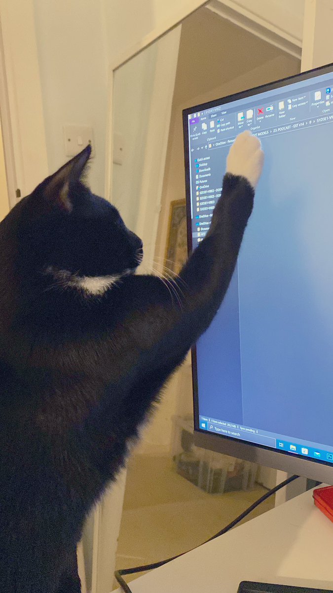 Olivia Mihale (@olivvvvvm) on Twitter photo GM🐈⬛ a behind-the-scenes in the <a href="/VUEMetaverse/">VUE Metaverse</a> design studios: Spangles the Cat - the mastermind behind this entire operation 😂 #MULTIVERSE #vuemetaverse #NFTs #designercat GM🐈⬛ a behind-the-scenes in the <a href="/VUEMetaverse/">VUE Metaverse</a> design studios: Spangles the Cat - the mastermind behind this entire operation 😂 #MULTIVERSE #vuemetaverse #NFTs #designercat