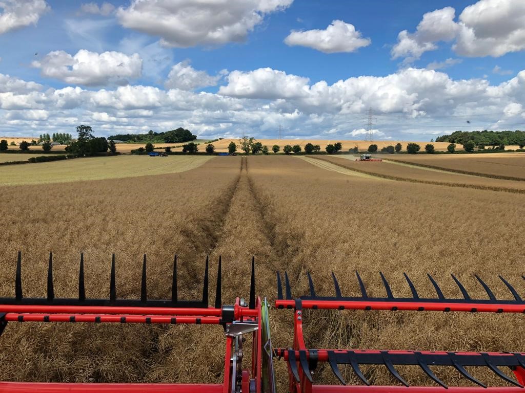 Our independent farmers co-op has just paid its trading members a record £520k profit share &amp; our #OSR Harvest Pool price was £645.38/t inc average quality bonuses of £65.36/t. Why not join us for £15 - Call your AM or 01380 729200 <a href="/owencuos/">Owen Cligg</a> @AaronCantrill1 <a href="/jogunes1/">@JoGunes</a>   <a href="/JBJFarm/">B Jackson</a>