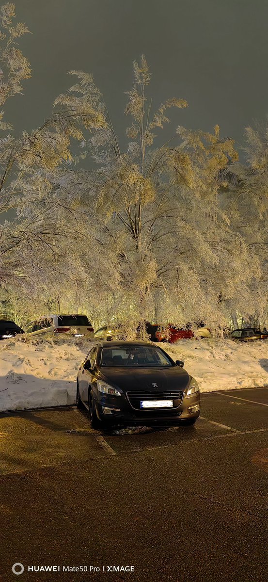 Gefrorene Bäume.

#peugeot #peugeot508 #peugeot508sw #blackhawk508 #dampflok #dieselpower #dieselperformance #feinstaubterrorist #frost #gefroren #eiskalt #reif #blizzard #zerbrechlich #winter #winter2023