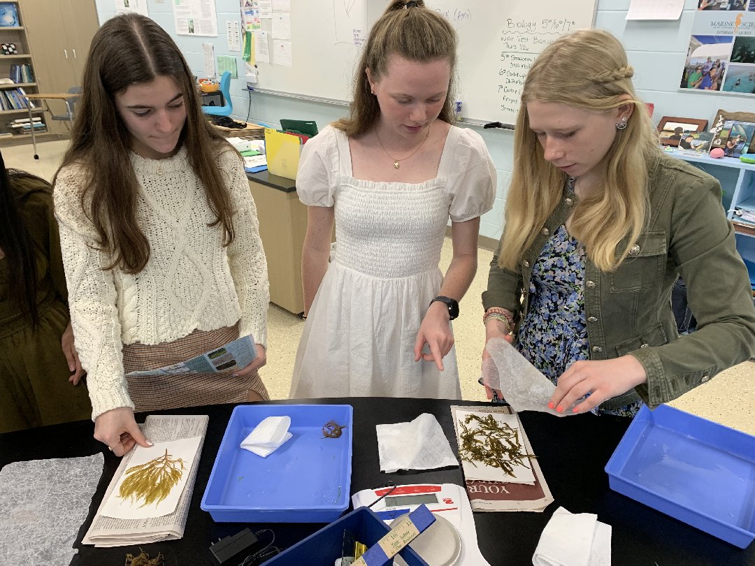 SSESFalcons's tweet photo. Upper School Marine Science students in Mrs. Angelo's class were in the MSC early this morning identifying and pressing a variety of algae and seagrasses collected from local waters. #worldclasseducation #InspringExcellence https://t.co/FWkZscEGfQ