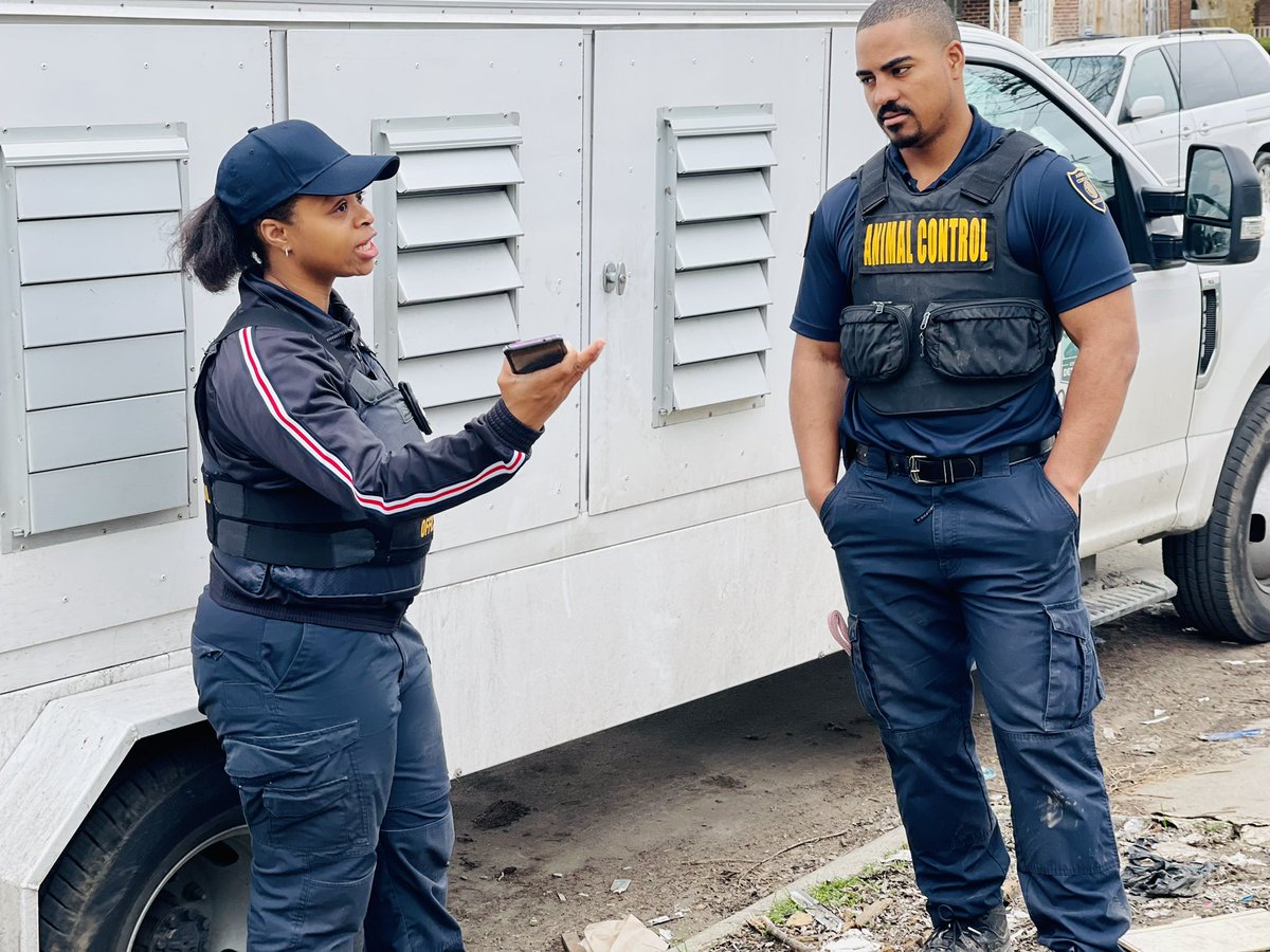 DetroitGSD tweet media