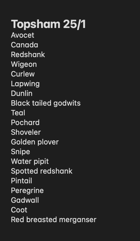 birdenofproof's tweet photo. Water pipit, red-breasted merganser, and the peregrine were highlights from #BowlingGreenMarsh and the #ViewingPlatform this morning. @DevonBirds @RSPBExeEstuary #LowCarbonBirding https://t.co/YhVl0Epjwd