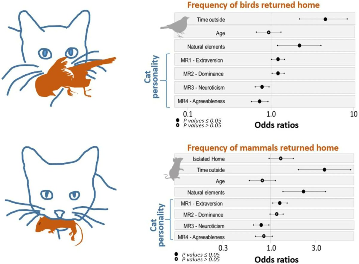 Pet #cat personality linked to owner-reported predation frequency. New from <a href="/Dr_M_Cordonnier/">Marion Cordonnier</a>, <a href="/bonnaud_e/">EBonnaud</a> et al: buff.ly/3Jn3kT0