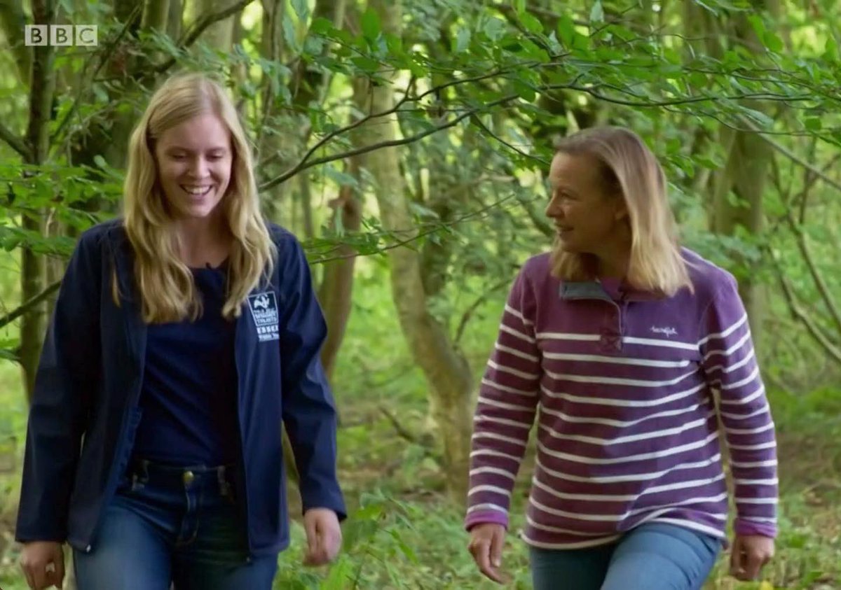 EssexWildlife's tweet photo. Did you catch us on @BBCMorningLive this morning? Emily McParland talks to @MirandaKnature about water shrews at @spainsestate https://t.co/ZJJdFQibSp