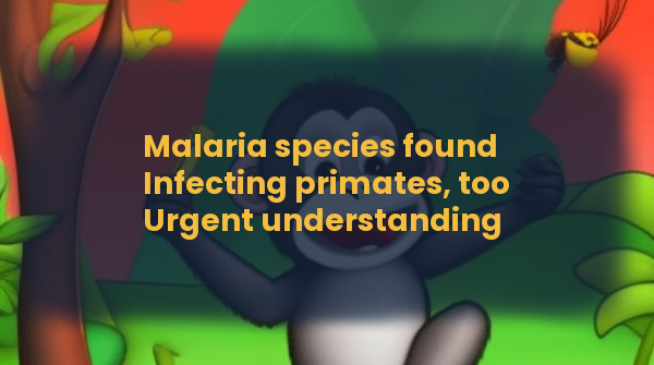 RandompileVideo's tweet photo. Preprint on #bioRxiv: https://t.co/Gg3URP3gig
#haiku #gpt3 #stablediffusion #primates #malaria https://t.co/HyGMTwLtJO