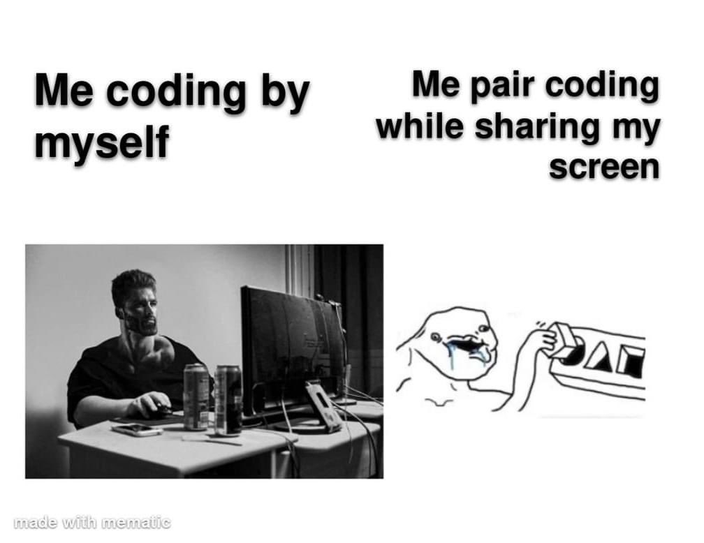 DailyCodingMemz's tweet image. #paircoding #coding #codinglife #programming #programminglife