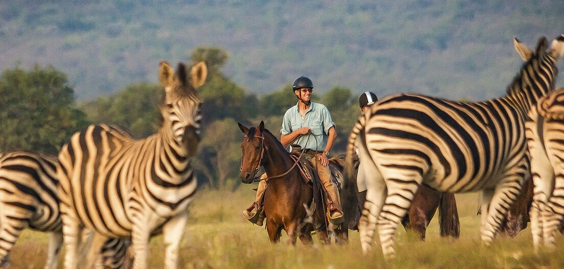Afrique du Sud : le plus équestre des pays africains #equitation 
C'est le pays africain qui compte le plus de chevaux et où l’on peut pratiquer quasiment toutes les disciplines équestres - y compris le tourisme #safariacheval #safari
👉 blog.cheval-daventure.com/fr/post/390/af…