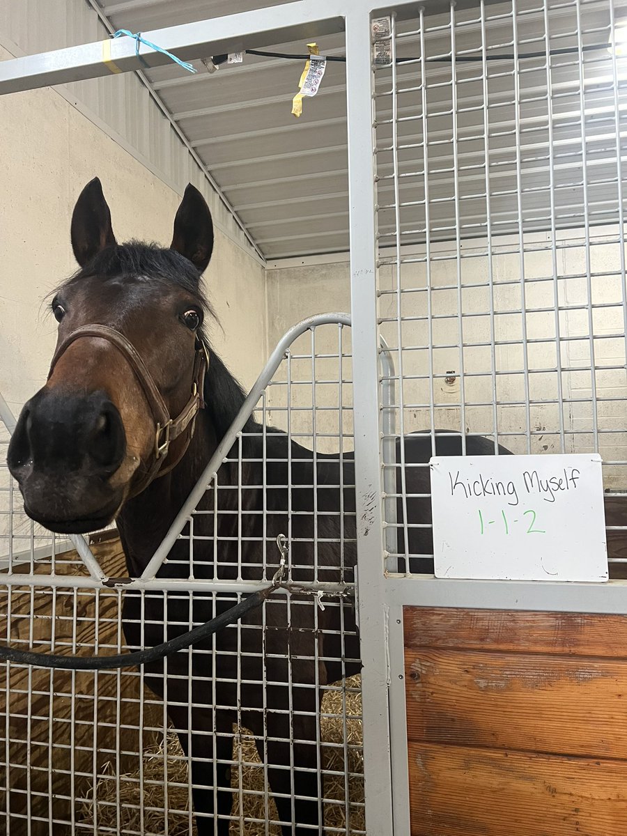 😍😍😍😍 Historic Heart, Boulette and Kicking Myself have rejoined us at Fair Hill today <a href="/AFRUKUS/">AtlanticFriendsRacing</a> <a href="/MetahorseRacing/">Metahorse Racing</a>