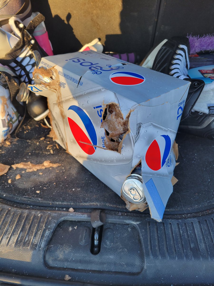 MelyssaMerlot's tweet image. #canadianthings #winterpeg 
Winter Protip: Don't leave diet Pepsi in your vehicle at -30C temperatures #explosivedietpepsi