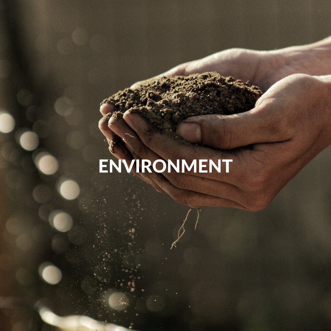 Protecting Wildlife, Uplifting Communities and Caring for the Planet.

It is with great excitement that we'd like to introduce Go2Africa's Positive Impact program! 🌍

Find out more about the Positive Impact projects Go2Africa is involved in here: bit.ly/3XDSoVF