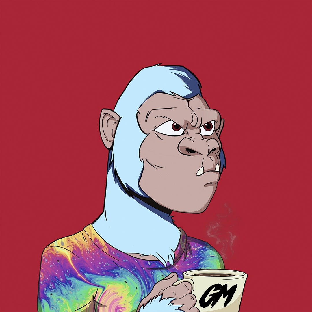 Dahleh ⚽️ tweet media