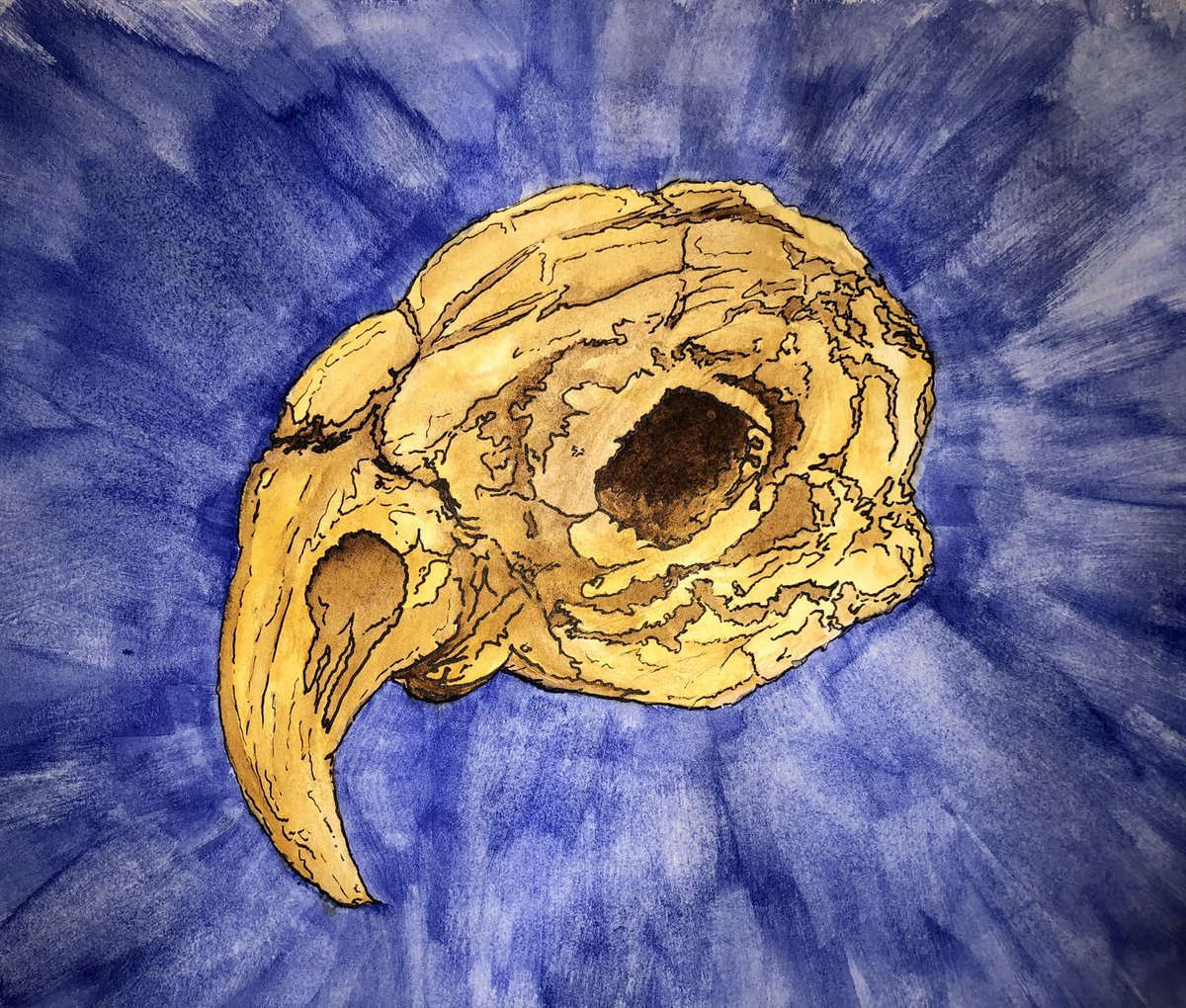 ButtonSteampunk's tweet photo. Animal & Bird Skulls - Watercolour and ink. #animal #bird #skulls #skull #watercolour #ink #drawing #painting #steampunkbutton https://t.co/guYvjUxApa