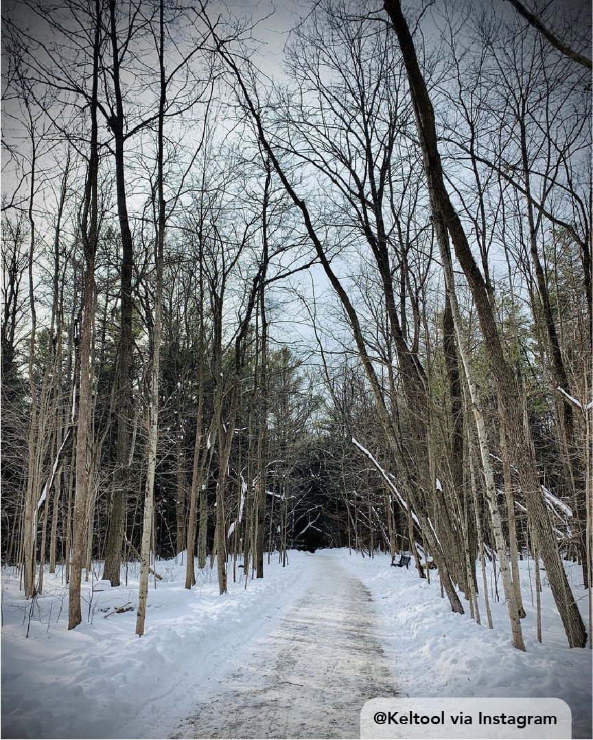 1 in 2 people struggling aren’t getting the help they need. Let’s talk about #MentalHealth &amp; take action. 

🧘Take time for yourself
🚶Check in on loved ones &amp; invite them for a walk along a #Newmarket trail 
👭Find support through local orgs like @cmhayork

#BellLetsTalk