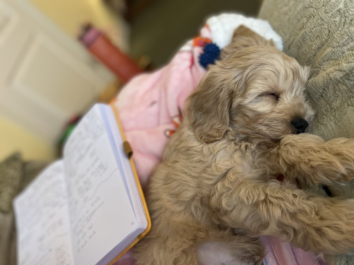 Charlie G🥋🖤 tweet media