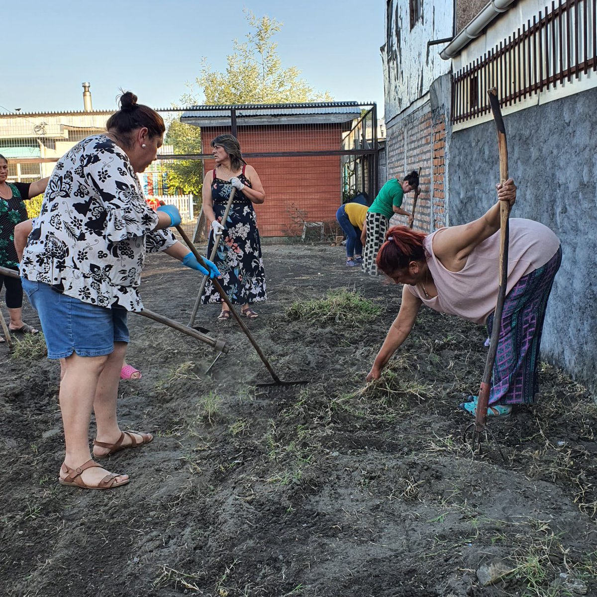 barrios8va's tweet photo. 😎¡En Altos del Laja nuestras vecinas ya iniciaron  el Taller de Paisajismo! 👏🏻👏🏻👏🏻La Sede Social Las Rosas, fue el espacio destinado para desarrollar un renovado jardín de bajo consumo hídrico. https://t.co/XrT7kJuLI2