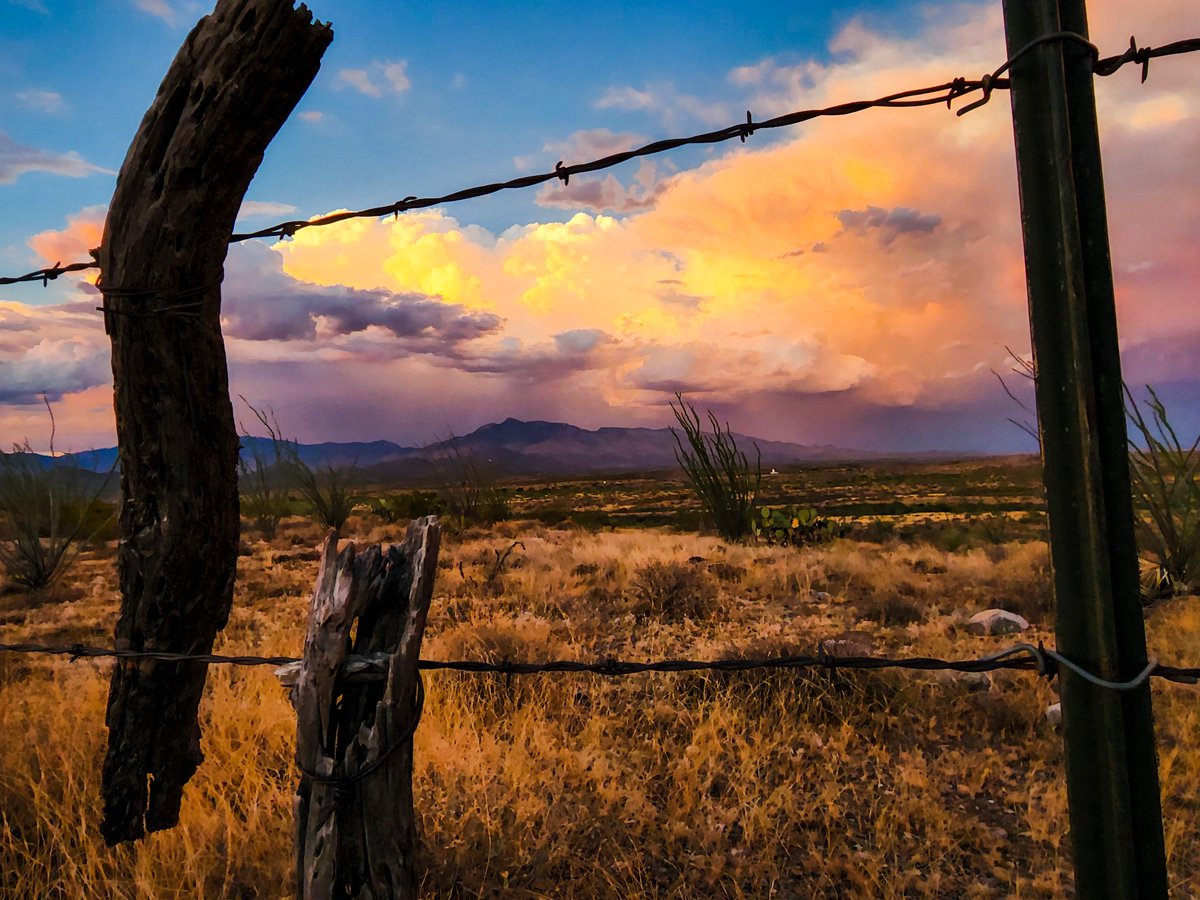 AZsolNft's tweet photo. I love this shot also, how does that little wire have the "strength" to hold up that broken post though? #AZSolArt #TagginAlong #PhotographyIsArt #photography https://t.co/FZsjH7mRa6