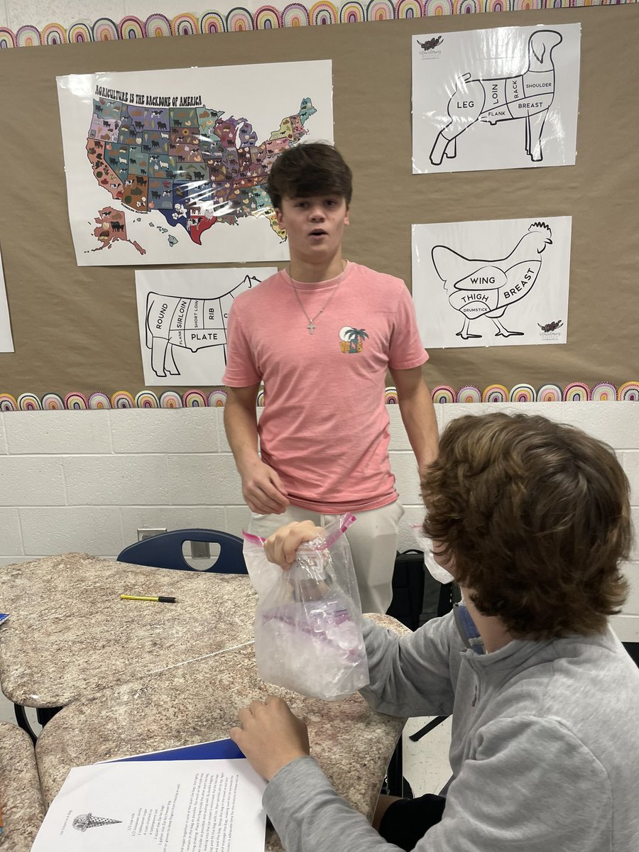 MRobsAg's tweet photo. PAFNR just learning about the dairy cattle unit. They learned how milk was made,butter, ice cream and condensed milk. Today they get to make their own ice cream!! 🍦🍨 https://t.co/EWR93lkTuE