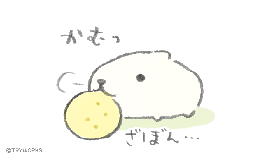 格安 カピさん専用です。 - www.youngfarmers.org