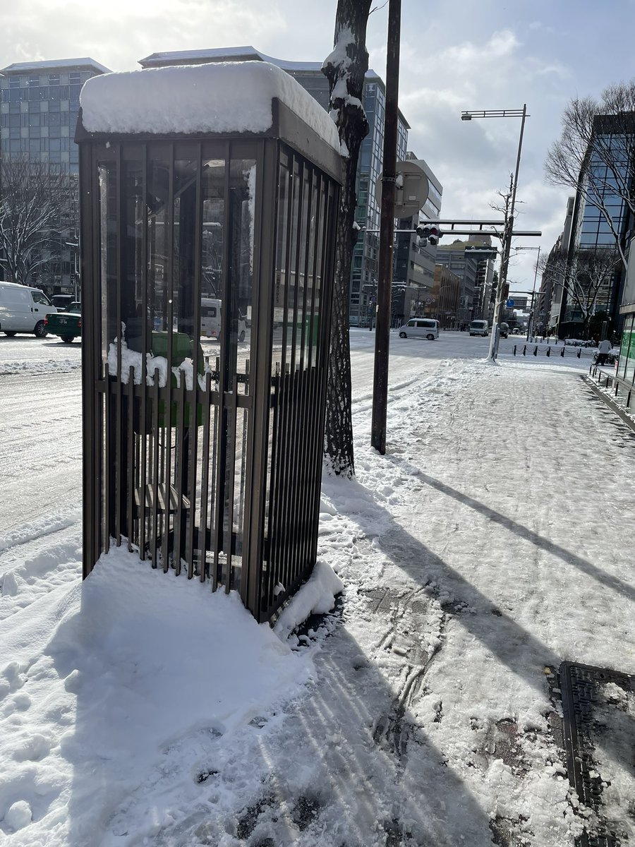 今朝の京都は白いところ全部凍ってて大変やったですね⛄️
明日からまた日常が戻るかな
#雪の京都 https://t.co/eosCSRrmDL