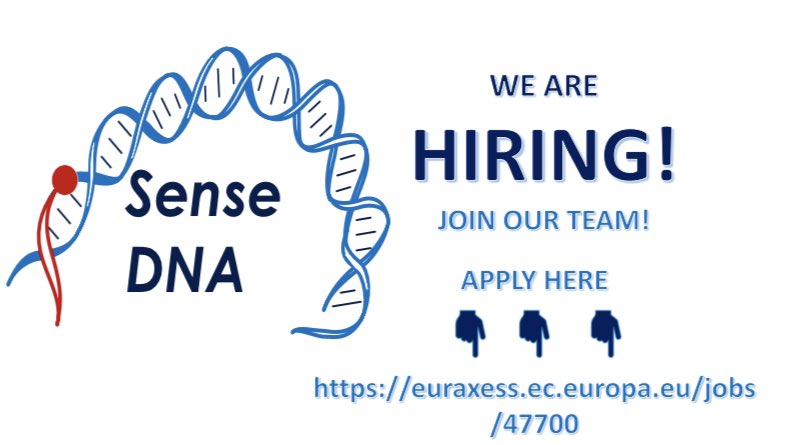 Still few day left to apply for the #postdocposition in our group @UUBiochem! Apply here 👇👇👇 euraxess.ec.europa.eu/jobs/47700                                 #compchem #MDsimulations #MachineLearning #enzymes #DNA systems