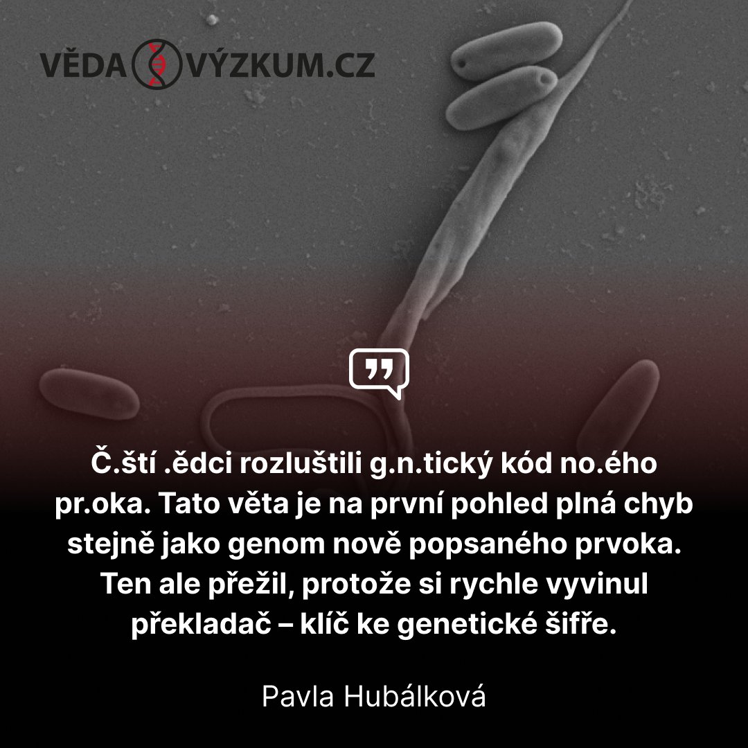 vedavyzkum_cz's tweet photo. 🔬 Parazita, který vyzrál na genetickou chybu, objevili čeští vědci v ploštici z Českého ráje.  O jejich překvapivý nález ihned projevili zájem lékaři i investoři. 
🔎 Co dalšího pozoruhodného se aktuálně událo v české vědě? Píše @PavlaHub:
📌 https://t.co/GBwB49zDSk https://t.co/UHDyIqDwxe