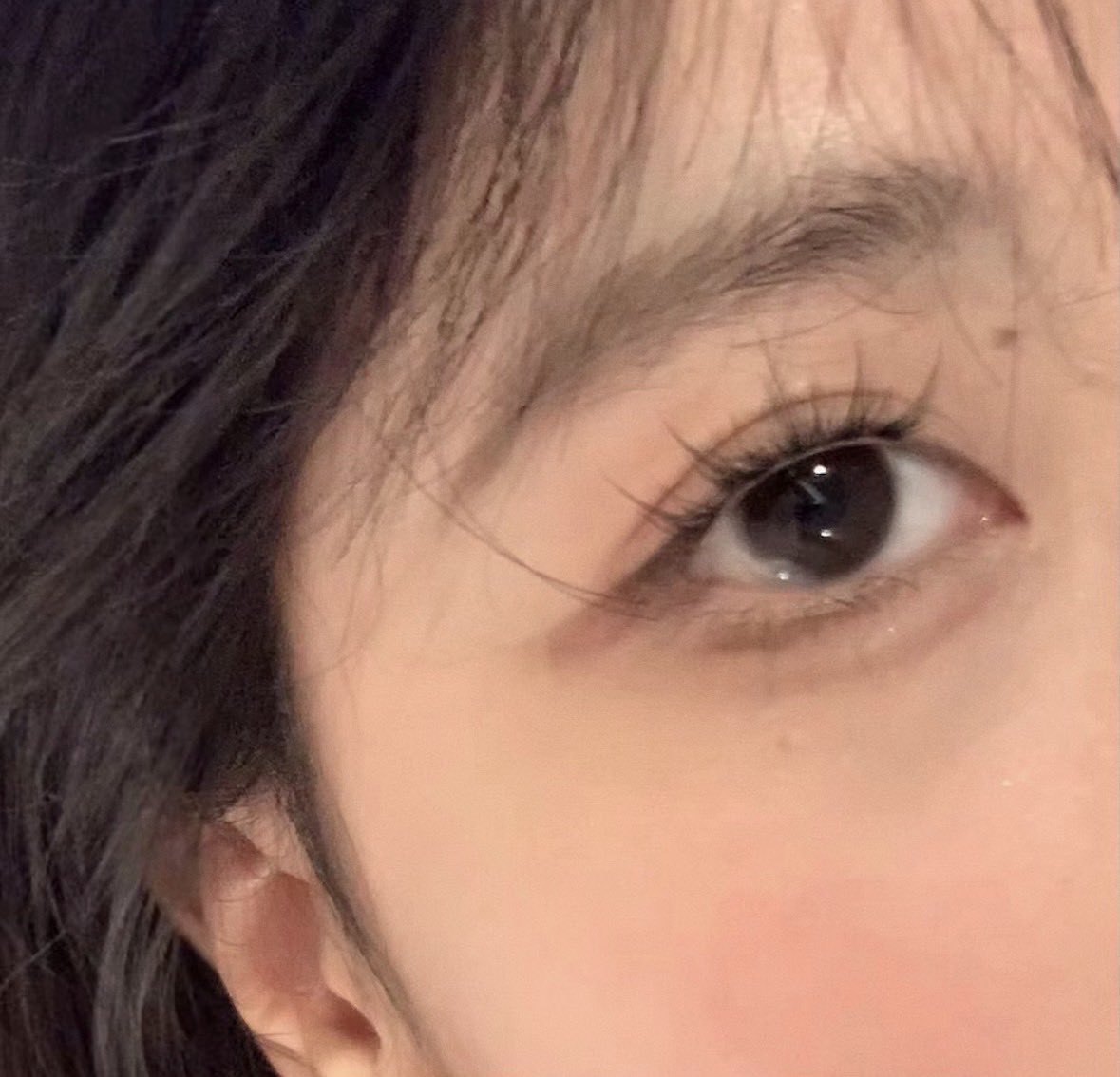 จาเจีย ☺︎︎ tweet media