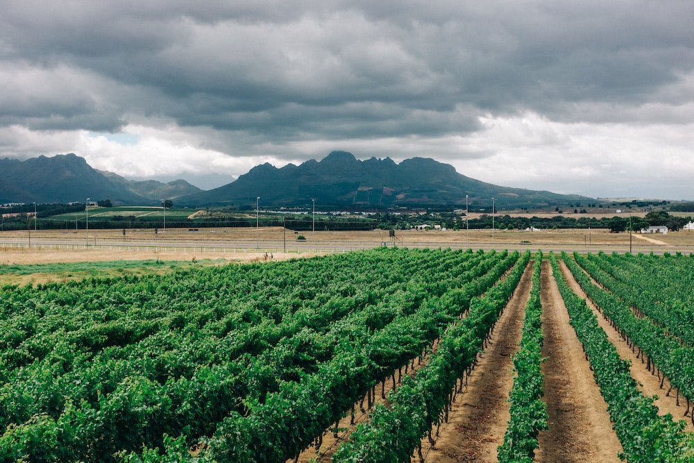 dixneufsoixante's tweet photo. L’Afrique possède 60 % des terres arables non cultivées dans le monde https://t.co/YFCM3HH2Ji
