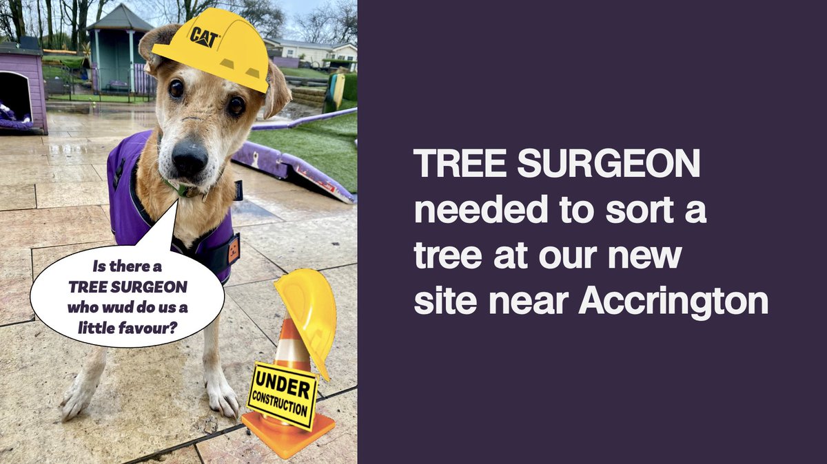 Are there any tree surgeons that might do us a favour at our new site? We need one tree tending to by early next week 🙏🙏 Location is near Accrington 
#treesurgeon