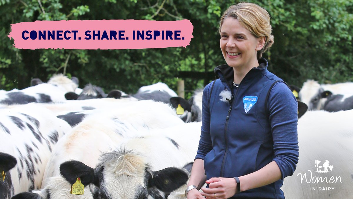 CALFMATTERS tweet media