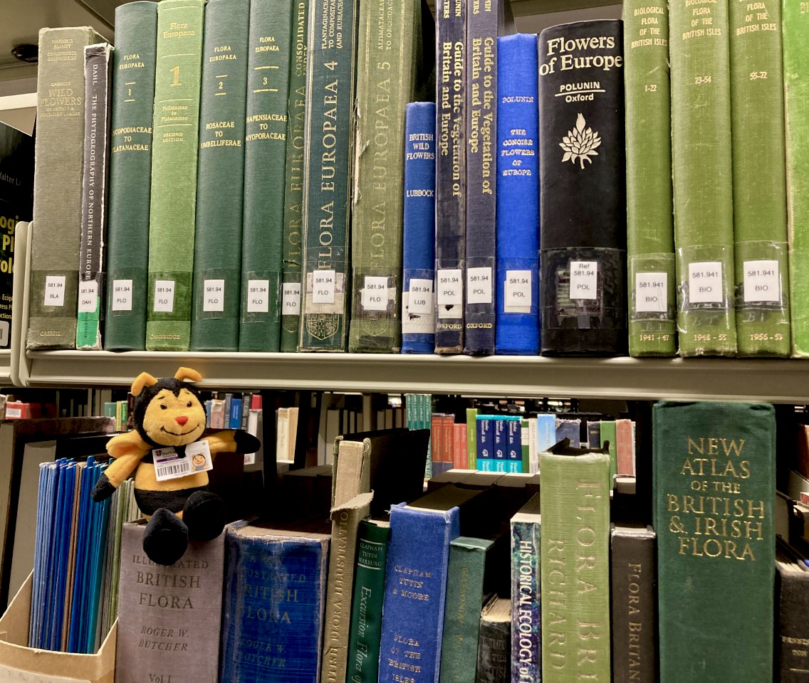 dulib's tweet photo. Happy #LibraryShelfieDay!
Here's mini Billy Bee, surrounded by their favourite books 🐝💐
Feel free to share your own #shelfies with us – we'd love to see them 😊 #DULib #BillyBee https://t.co/z5Q3y7cVXz
