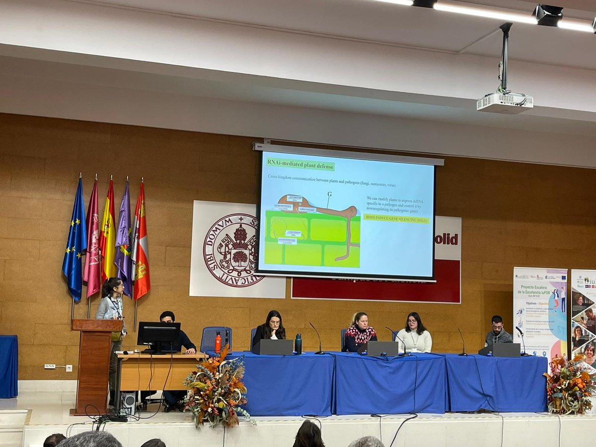forestpatuva's tweet photo. ForestPatUva opening the 2023 edition of Young Foresters Meeting at IUFOR-UVa talking about the possibilities of RNAi for the control of fungal and oomycete diseases. Good job Sandra and Irene!!!
@YoungForesters https://t.co/OGtwmIVXMF