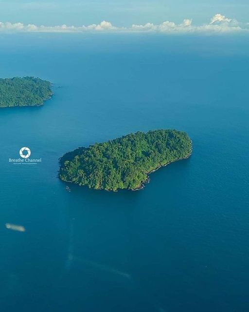 PondoPix tweet media