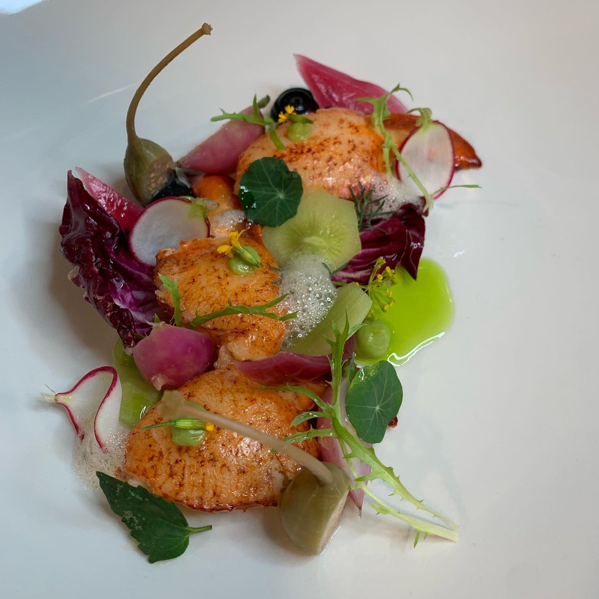 Cheftoshi tweet media