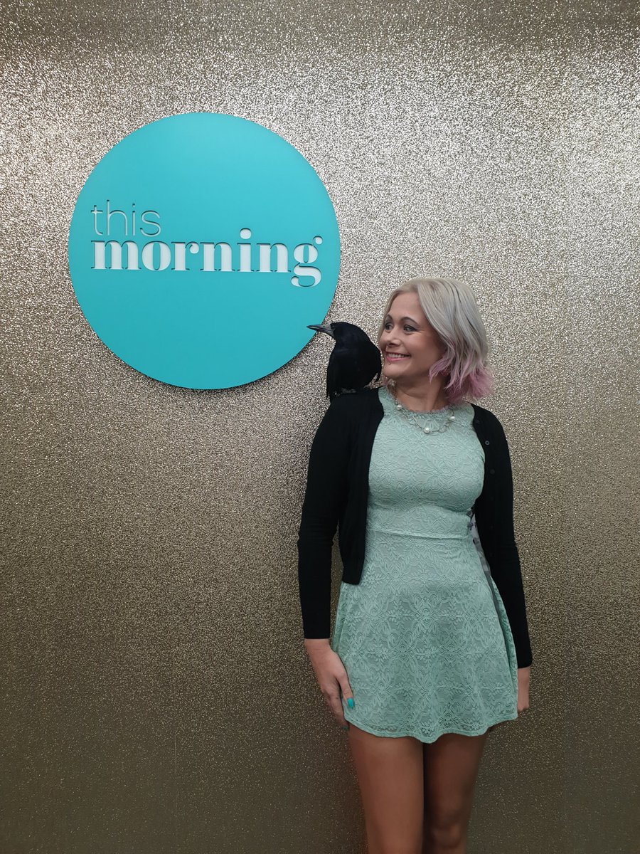 I loved being on the big screen! Thanks @thismorning and @hollywills and @Schofe for having me.

PARP, PARP, PARP! 

#Rook #Crow #TV #Celebrity #Rescue #ThisMorning #Daytimetv #morningtv